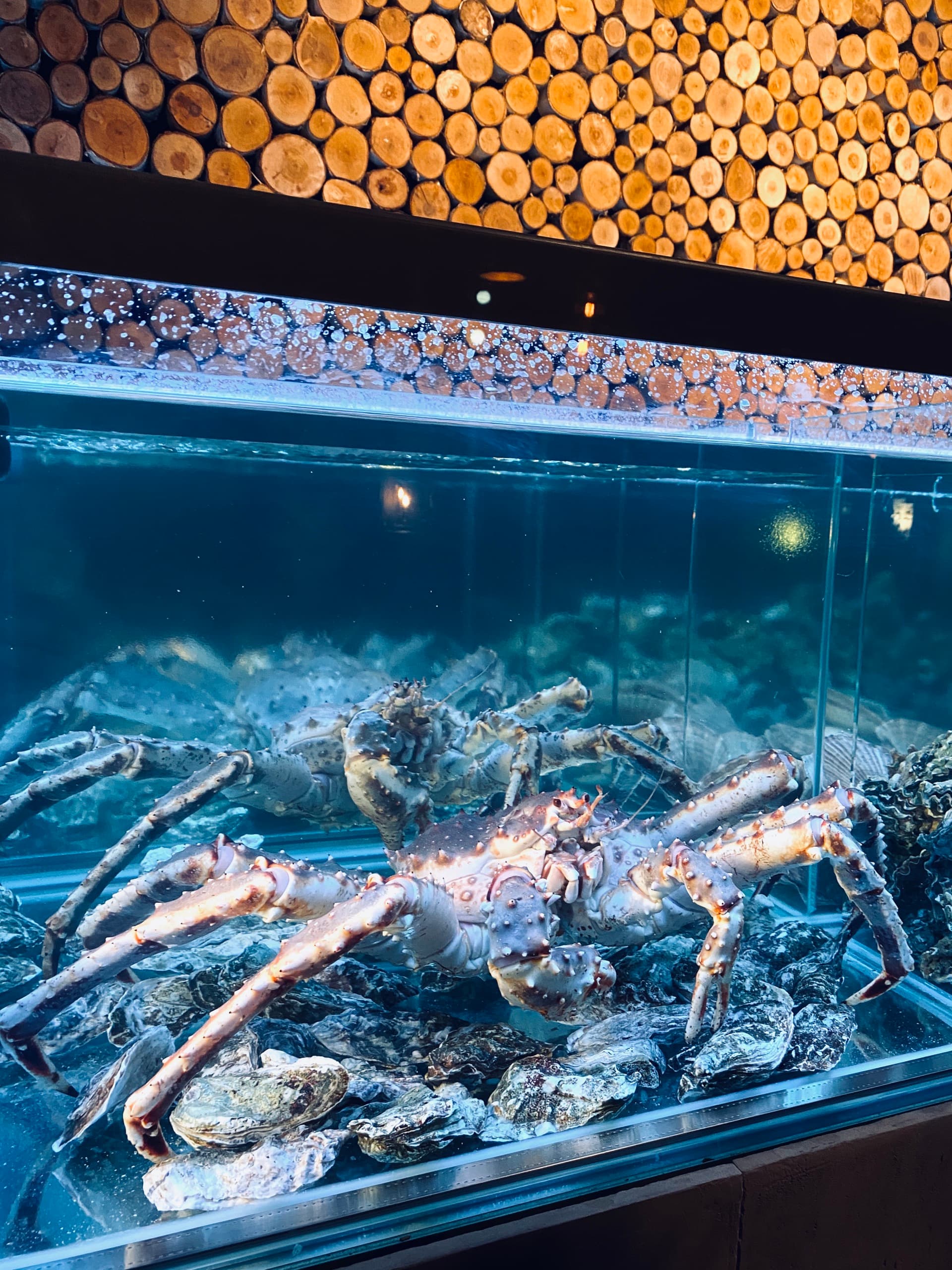 Морской аквариум